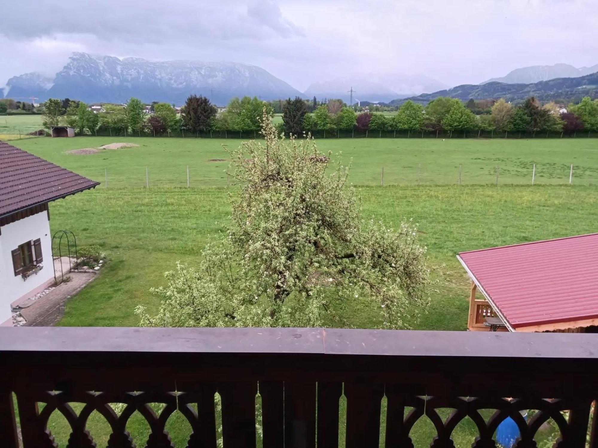 Staufenblick Apartment *